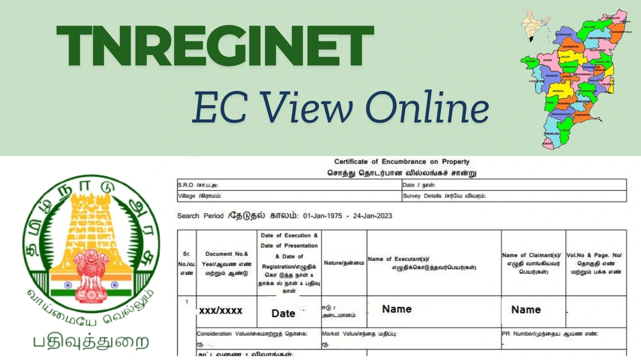 TNREGINET EC View Online